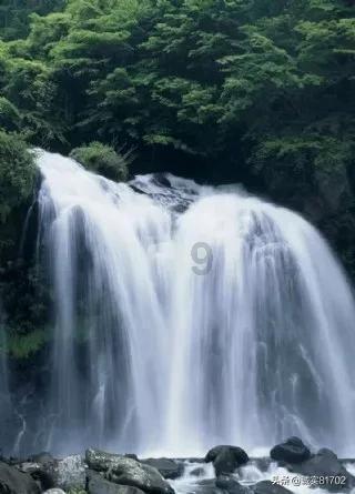 “千金难买贵人帮”,生肖鸡一生要靠这两个“贵人”,别不信